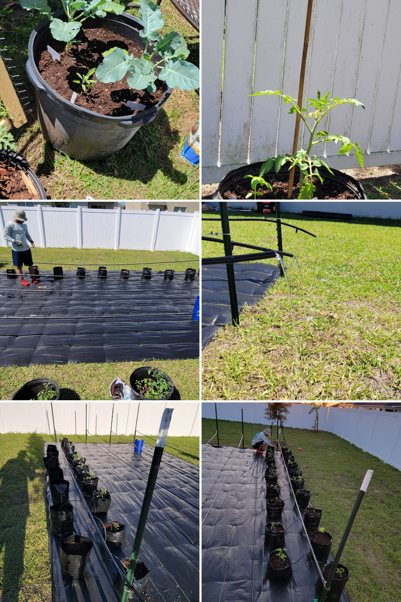 Basic hydroponic growing system setup